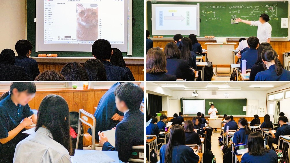 2605121　生物基礎11　本文